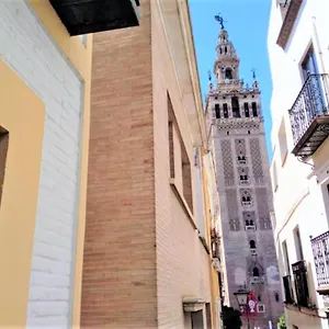  Apartment ¡en Frente De La Giralda-catedral!